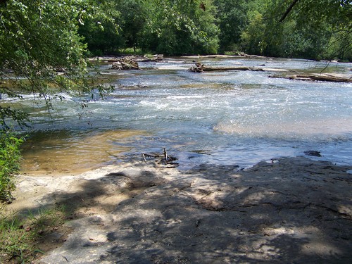 shoals at Cedar Falls Park (Credit: Upstate Forever)