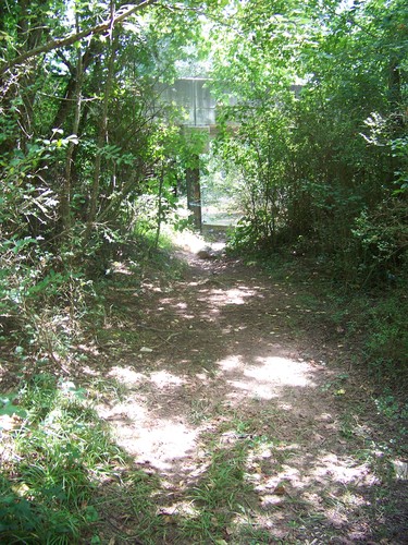 trail leading beneath Dunklin Bridge Road (Credit: Upstate Forever)