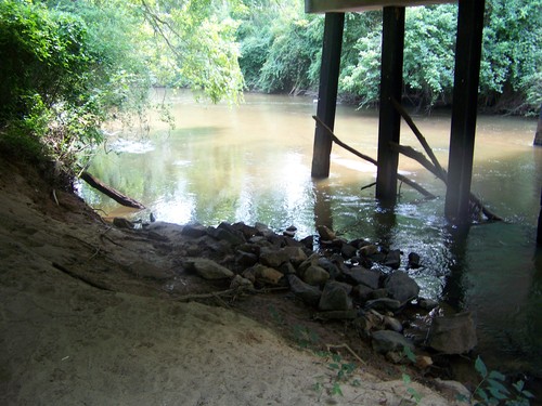 underneath Dunklin Bridge Road bridge (Credit: Upstate Forever)