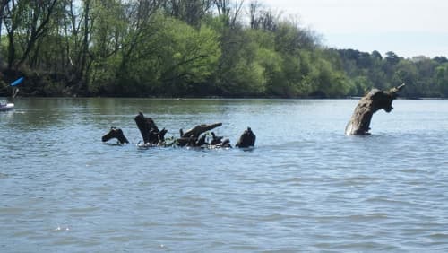 Lock Ness Monster (Credit: pcumalander-frick)