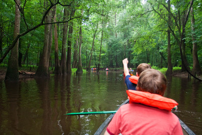 Congaree National Park canoe tour. (Credit: Congaree National Park)