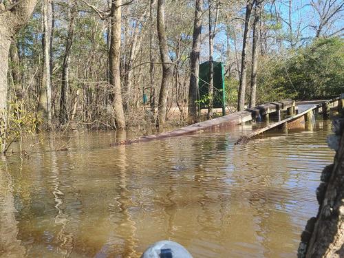 Flooding/Walking Trail floof water view (Credit: Scooter)