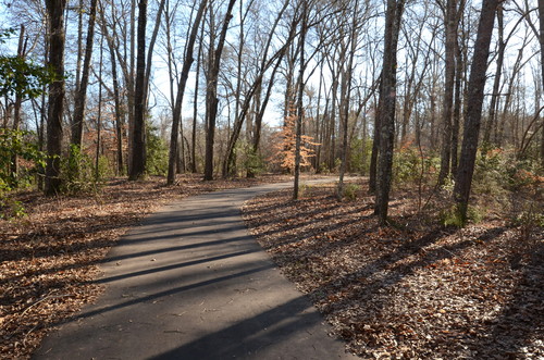 walking trail at Charlie Lollis Park (Credit: Dick Carr)