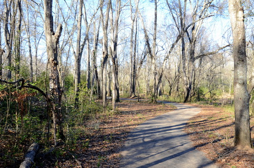 walking trail at Charlie Lollis Park (Credit: Dick Carr)