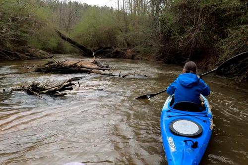 Lots of wood in the river (Credit: pcumalander-frick)