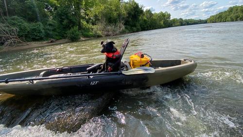 She is a better paddler than I am… (Credit: James McCall)