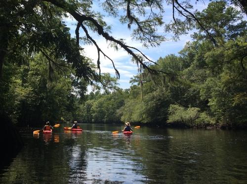 Black River (Credit: Bill Marshall)