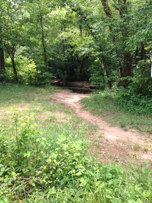 South Saluda DNR River Access (Credit: Upstate Forever)