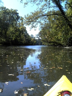 Bowens River put-in