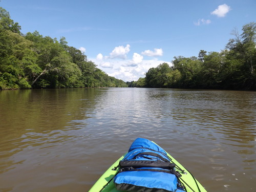 Beautiful Day On The Saluda (Credit: Brandon Burdette)