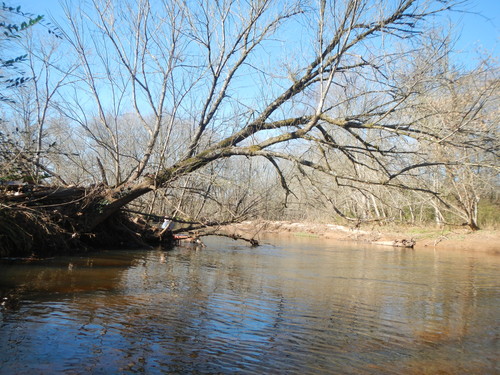 Lake Conestee at Lake Conestee Nature Park