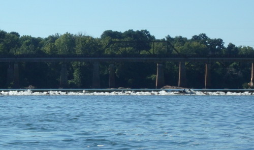 Nasty looking dam located beside the Locks (Credit: P Cumalander-Frick)