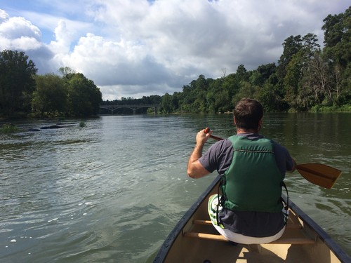 Broad River, facing Broad River Rd bridge. (Credit: Tanner Arrington)