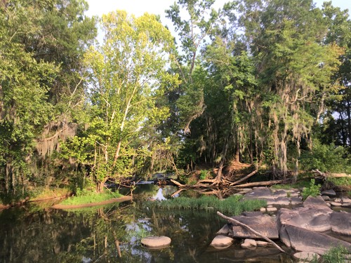 Broad River island (Credit: Tanner Arrington)