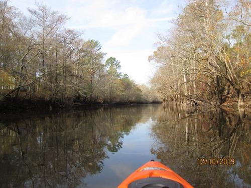 Lynches River near the Hwy 52 Landing (Credit: Wayne Schaefer)