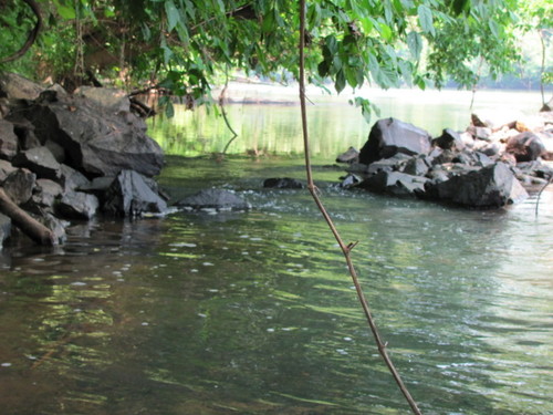 Catawba Fish Dam (looking from the pool upstream to the entrance) (Credit: P Cumalander-Frick)