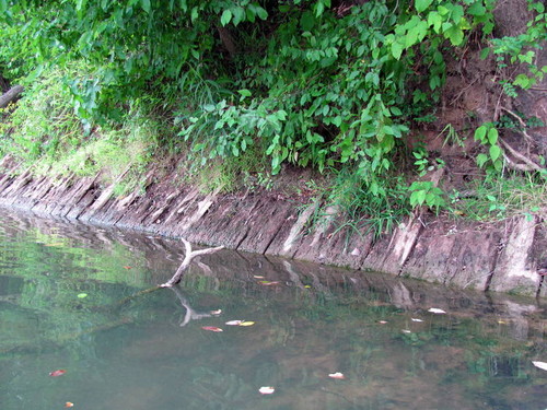 Remains of Old Shelton Ferry can still be seen (Credit: P Cumalander-Frick)