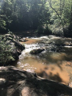 Town Creek at Town Creek Park (Credit: Upstate Forever)