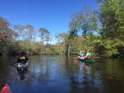 Paddling on the Edisto. (Credit: Tanner Arrington)