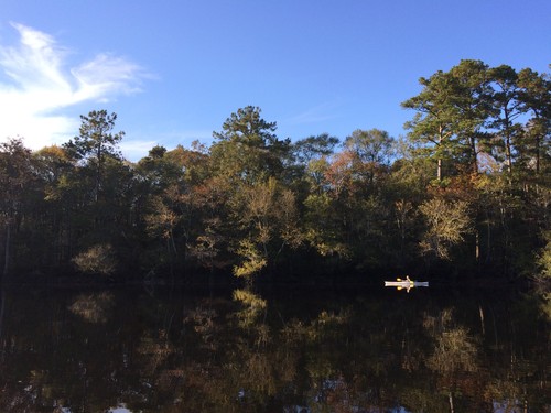 Flat water on the Edisto River.