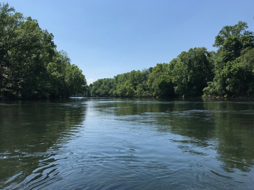 Lower Saluda River (Credit: Nate O'Neill)