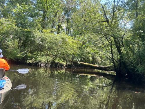 Upriver from the Howard Bridgman River Access point. (Credit: TR)