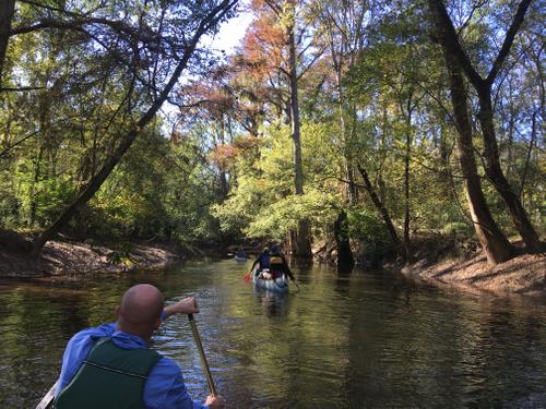 Cedar Creek near confluence with Congaree River (Credit: TA)