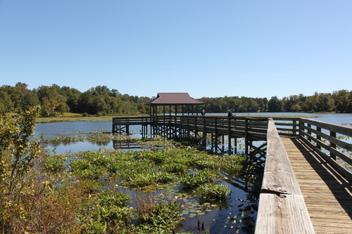 Pier at Lake Cunningham (Credit: Greer CPW)