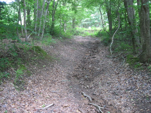 trail leading to river at Maddox Bridge Road (Credit: Upstate Forever)