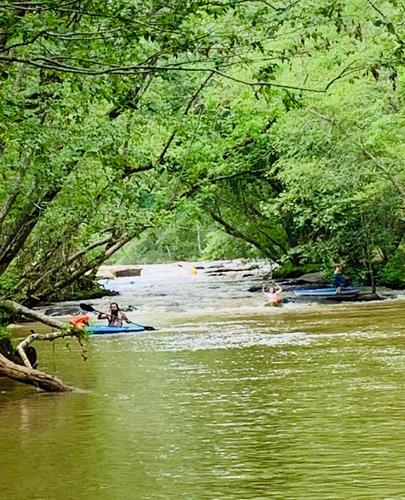 Left on Thomas Branch (Credit: Chris Kohlmorgen)