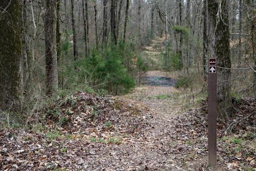 Canoe path to river.  About 500 ft. (Credit: pcumalander)