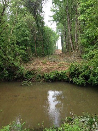 Middle Saluda River at Pumpkintown Road (Credit: Upstate Forever)