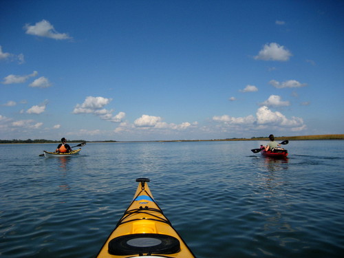 Stono River (Credit: Kim Counts Morganello)