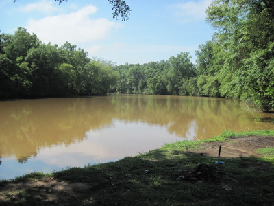 Saluda River at Timmerman Landing (Credit: Upstate Forever)