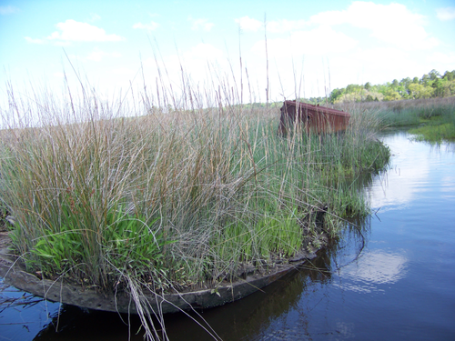 (Credit: U of South Carolina Maritime Research Division)