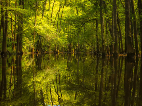 Peace Between Portages (Credit: JoAnn Johnson, TheOutdoorsyLens.com)