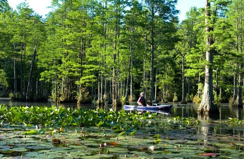 (Credit: Cheraw State Park)