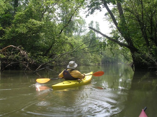 Chicken Creek (Credit: Berkeley County Blueways)