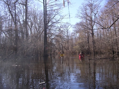 (Credit: Berkeley County Blueways)