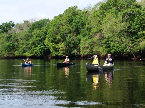 (Credit: Eric Davis, Dorchester County)