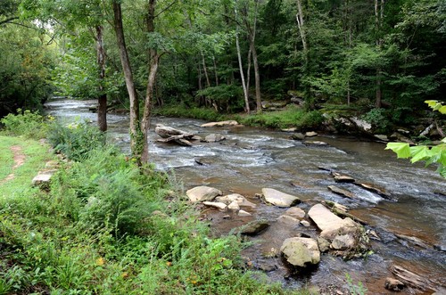 Lawson's Fork Creek at Glendale Shoals Preserve (Credit: Dick Carr)