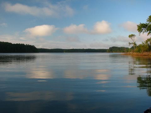 (Credit: Ron Ahle, SCDNR & SCDNR Regional Biologists)