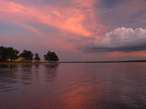 (Credit: Ron Ahle, SCDNR & SCDNR Regional Biologists)