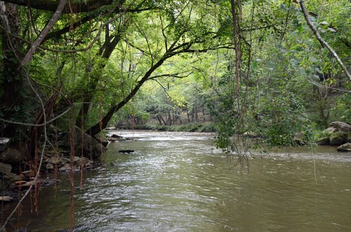 Lawson's Fork Creek at Glendale Shoals Preserve (Credit: Dick Carr)