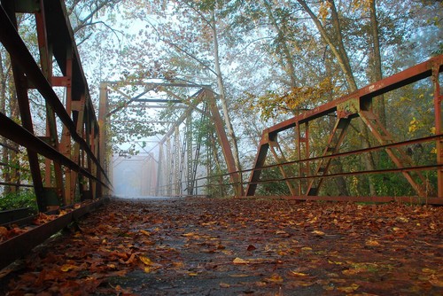 Pedestrian Bridge at Glendale Shoals Preserve (Credit: Dick Carr)