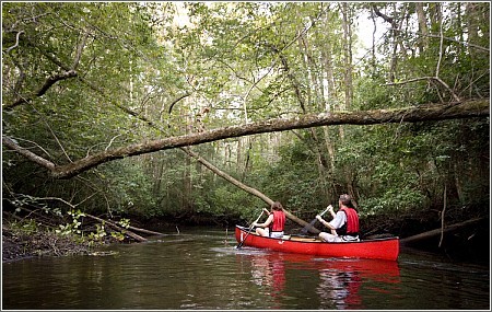 (Credit: Aiken State Park)