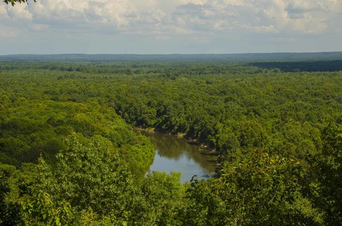 View of Wateree River Floodplain from Cooks Mountain.  (Credit: SCDNR)