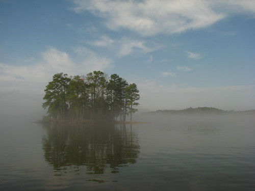 (Credit: Ron Ahle,SCDNR & SCDNR Region Biologists)