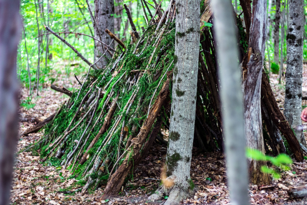 Tent made of sticks