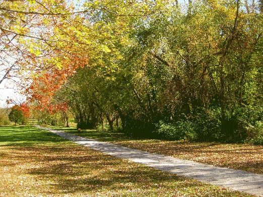 Trail access at Veterans Memorial Park (Credit: City of Bettendorf)